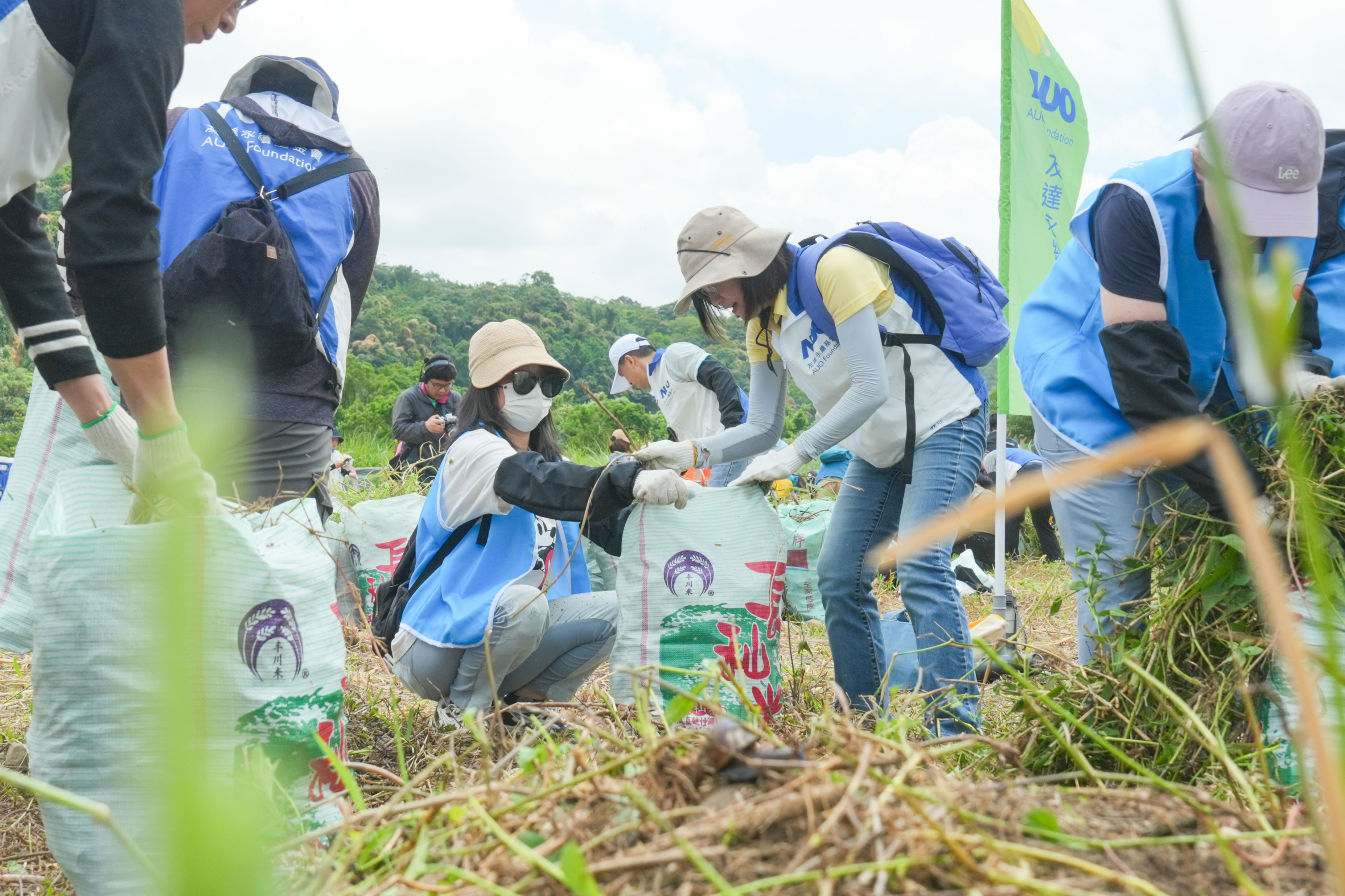K8·凯发(中国)天生赢家·一触即发除蔓防治計畫，除了鎖定霄裡溪沿岸3.2公里移除外來入侵種小花蔓澤蘭，並進行物種與空拍調查，共記錄91科181屬239種維管束植物，顯示該區域具高度生態價值